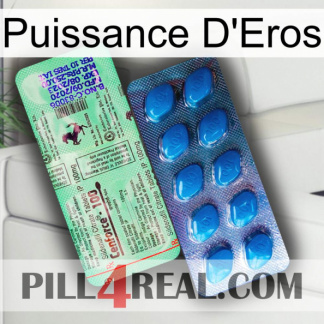Eros Power new02